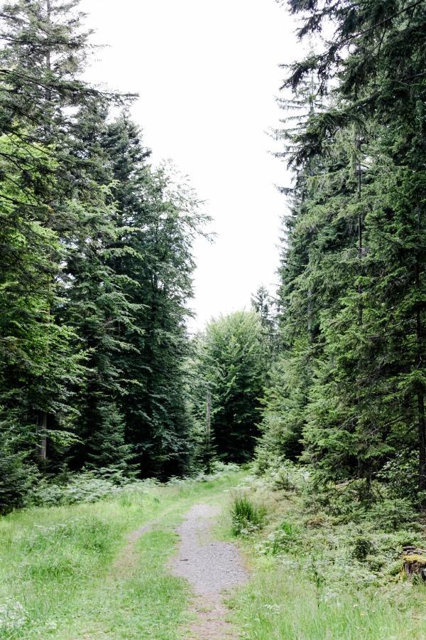 4-Zimmer-Ferienwohnung Waldbluemle Dobel Dış mekan fotoğraf